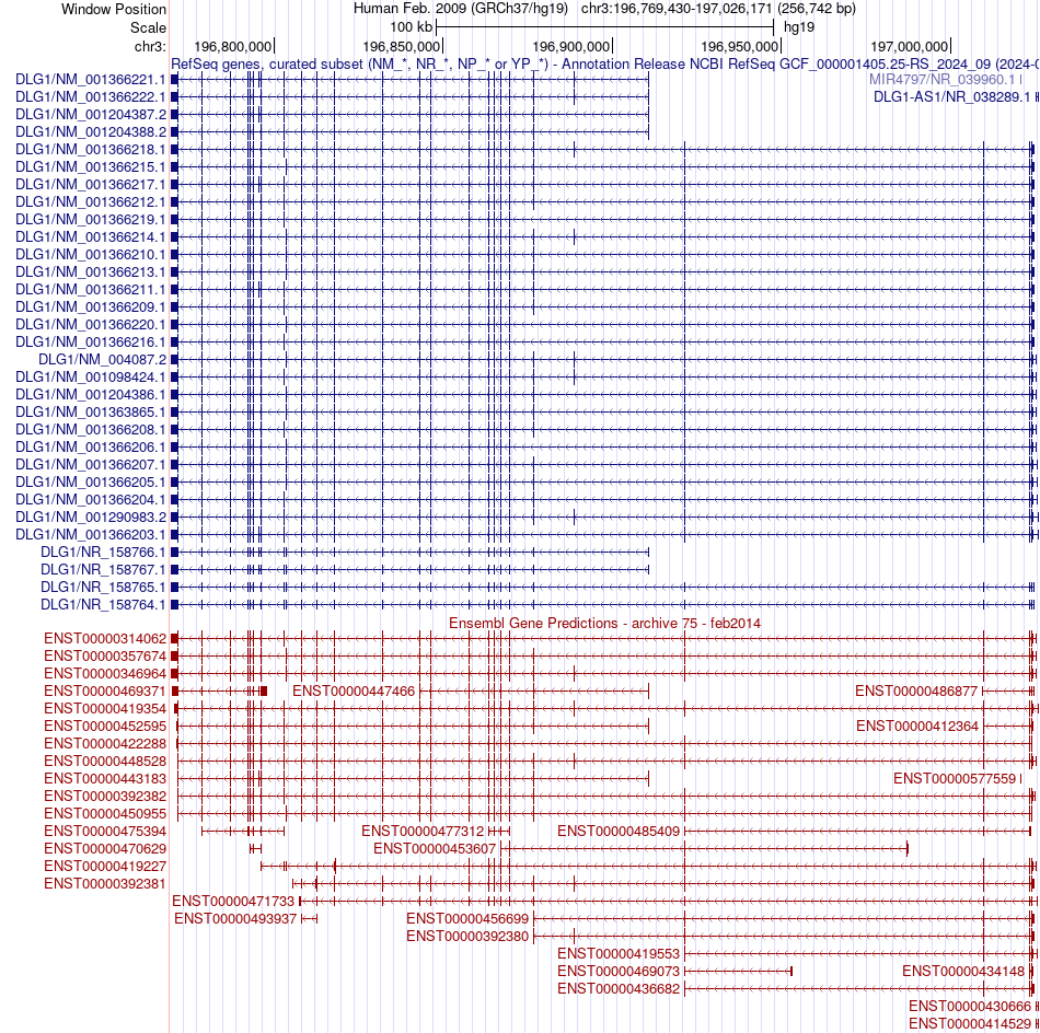 gene isoform structure of DLG1