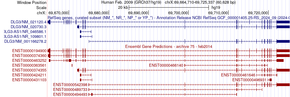 gene isoform structure of DLG3