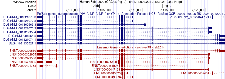 gene isoform structure of DLG4