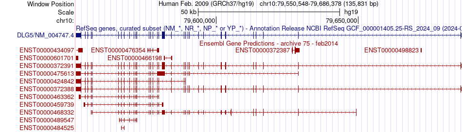gene isoform structure of DLG5