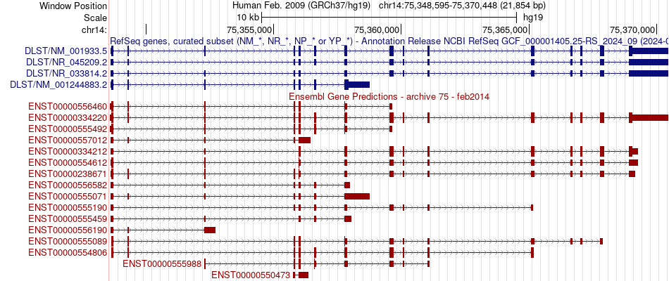 gene isoform structure of DLST