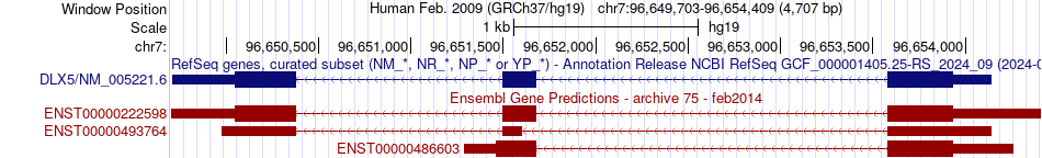 gene isoform structure of DLX5
