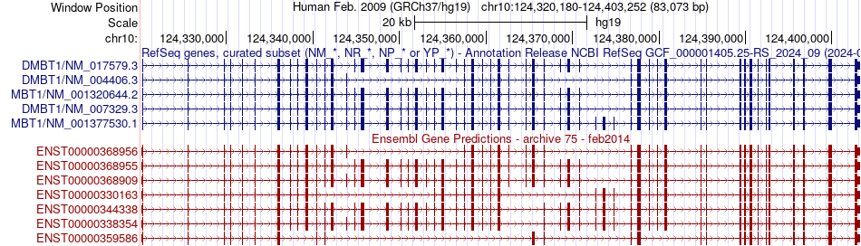 gene isoform structure of DMBT1
