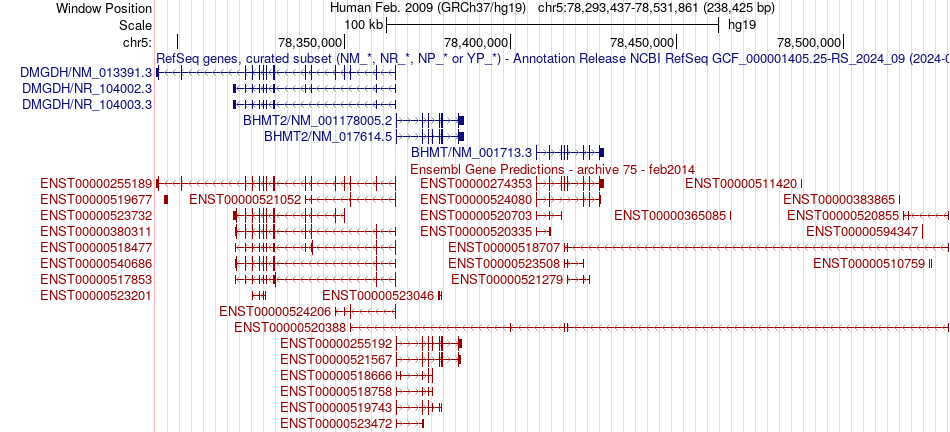 gene isoform structure of DMGDH