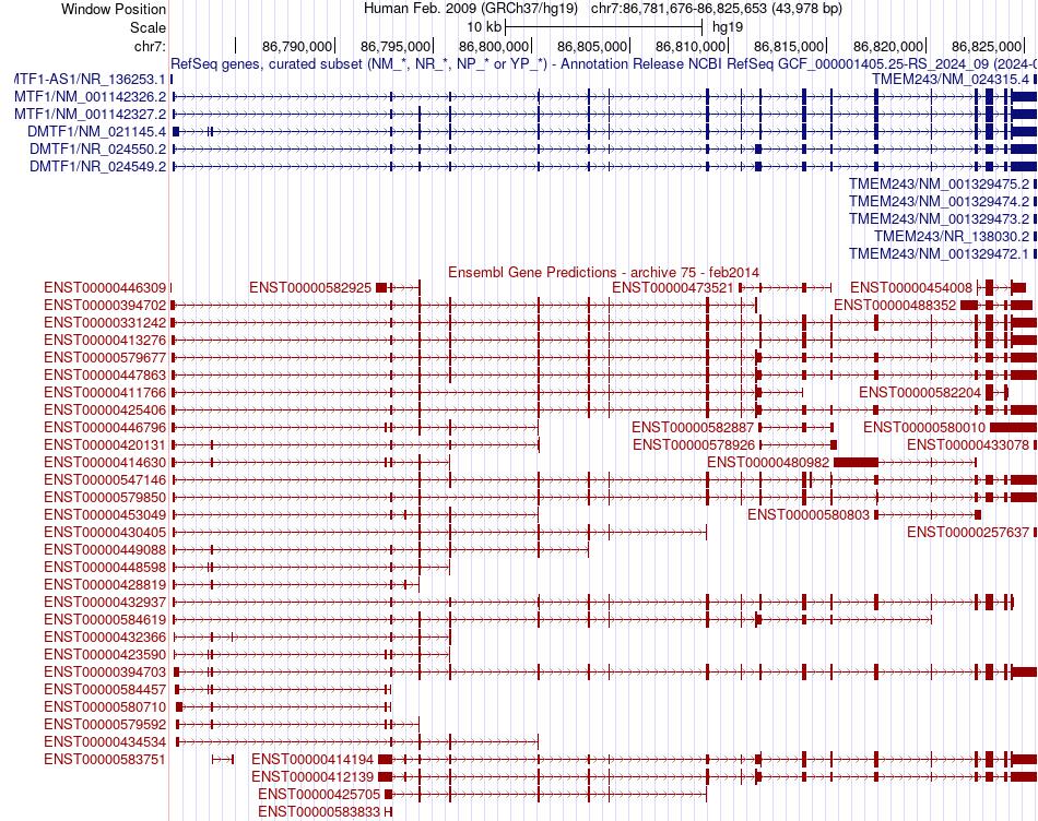 gene isoform structure of DMTF1