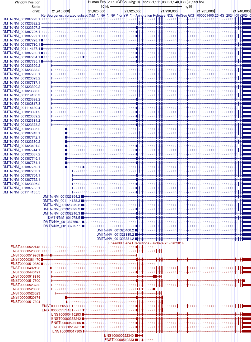 gene isoform structure of DMTN