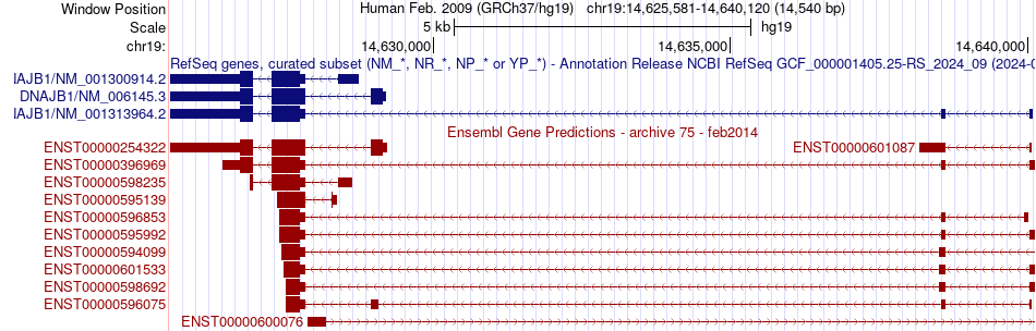 gene isoform structure of DNAJB1
