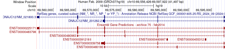 gene isoform structure of DNAJC12