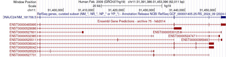 gene isoform structure of DNAJC24