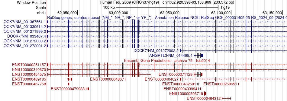 gene isoform structure of DOCK7