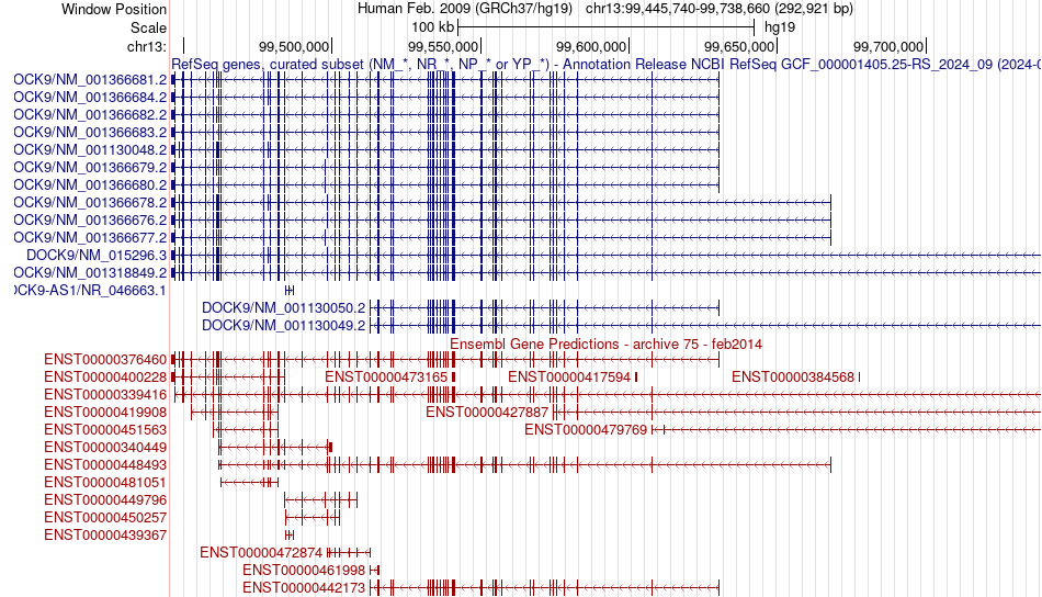gene isoform structure of DOCK9
