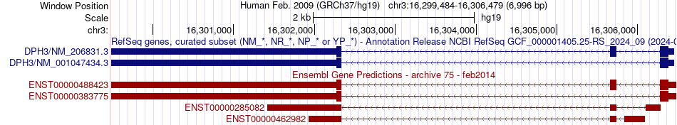 gene isoform structure of DPH3
