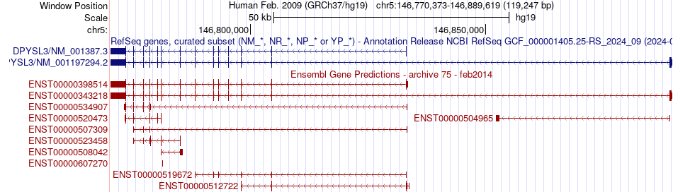 gene isoform structure of DPYSL3
