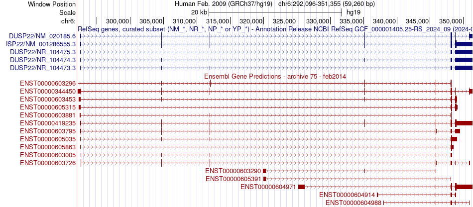 gene isoform structure of DUSP22