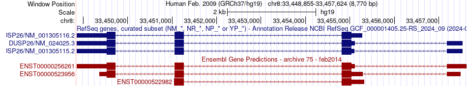 gene isoform structure of DUSP26