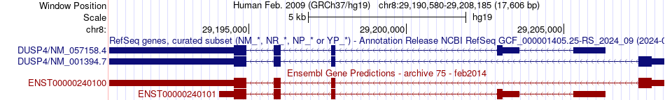 gene isoform structure of DUSP4