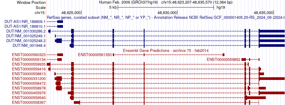 gene isoform structure of DUT