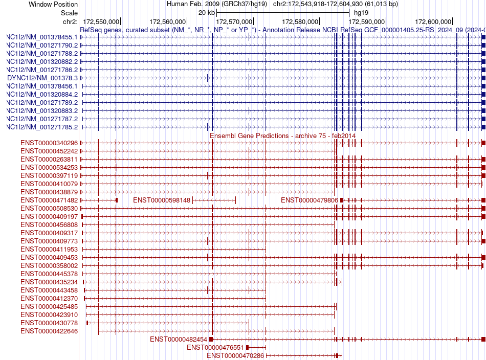 gene isoform structure of DYNC1I2