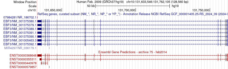 gene isoform structure of EBF3