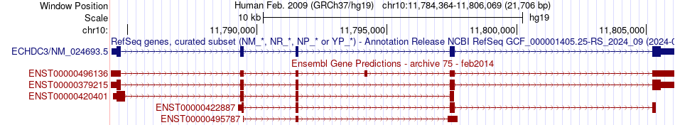 gene isoform structure of ECHDC3