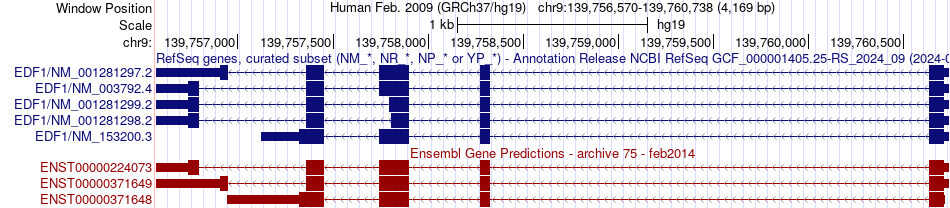 gene isoform structure of EDF1