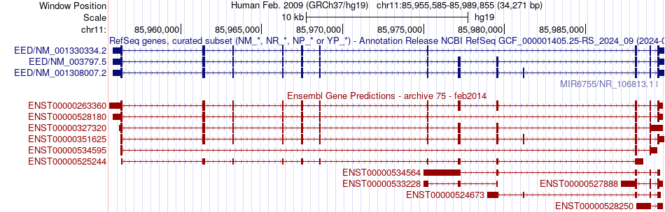 gene isoform structure of EED