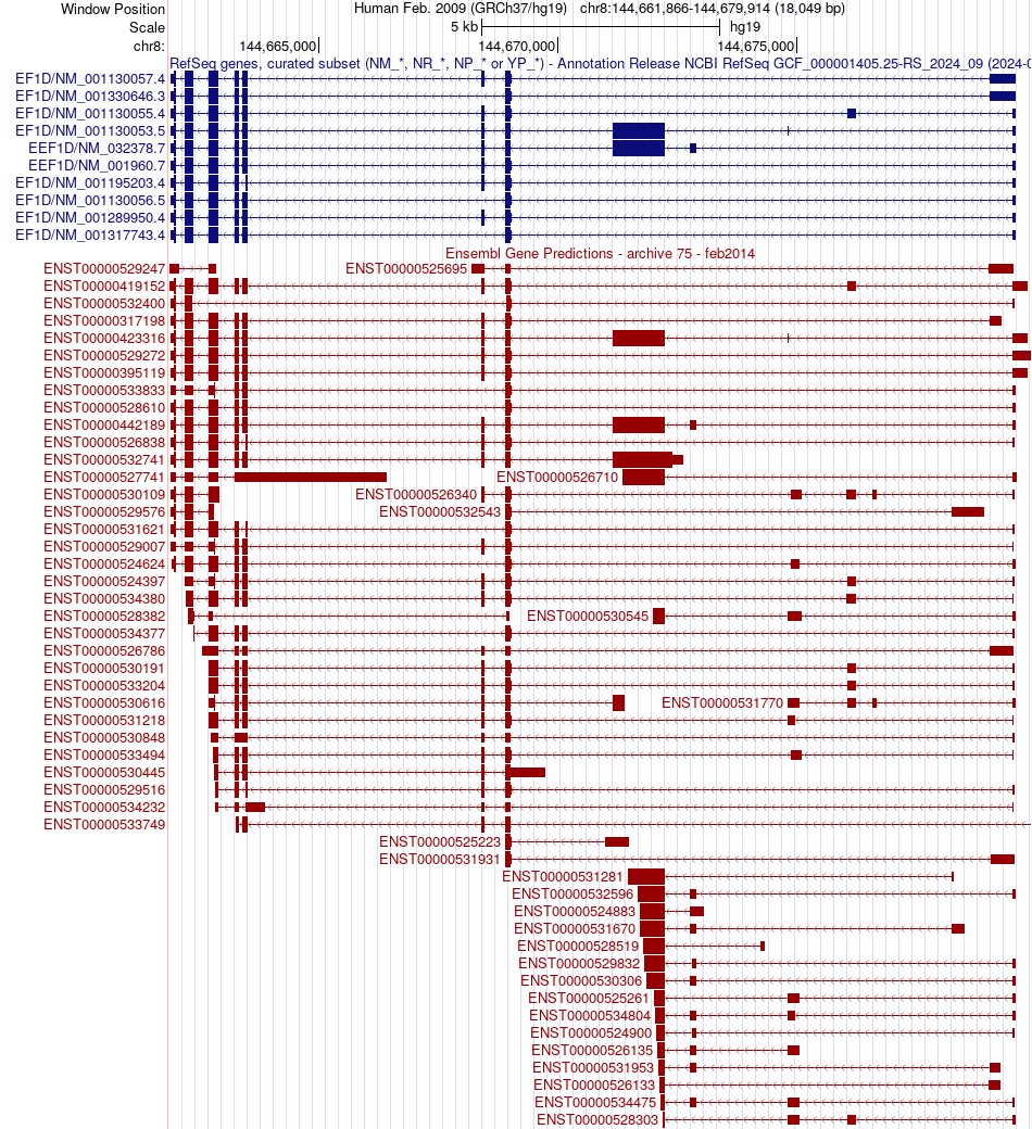 gene isoform structure of EEF1D