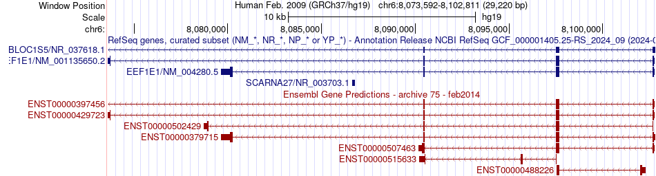 gene isoform structure of EEF1E1