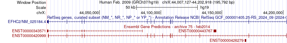 gene isoform structure of EFHC2