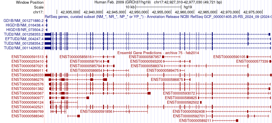 gene isoform structure of EFTUD2