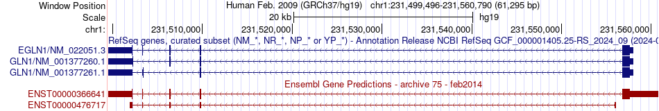 gene isoform structure of EGLN1
