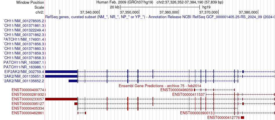 gene isoform structure of EIF2AK2