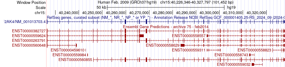 gene isoform structure of EIF2AK4