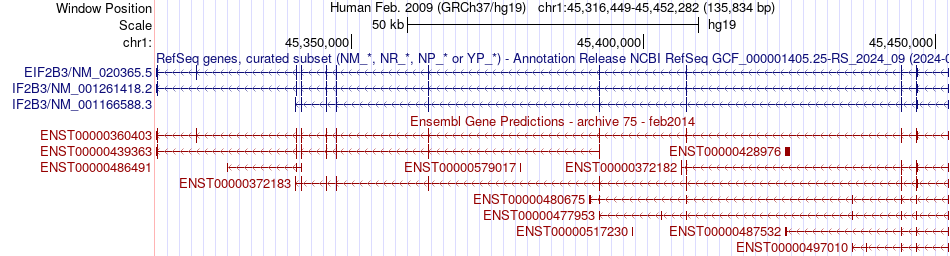 gene isoform structure of EIF2B3