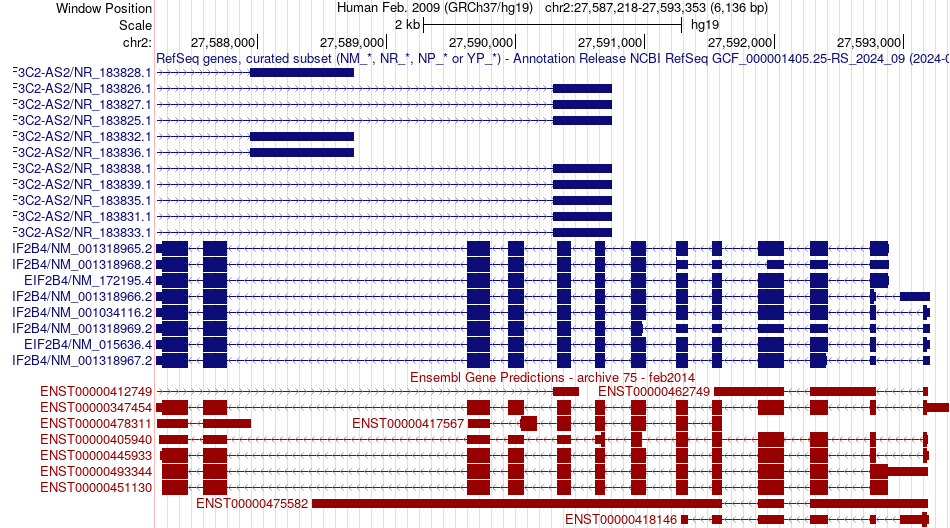 gene isoform structure of EIF2B4