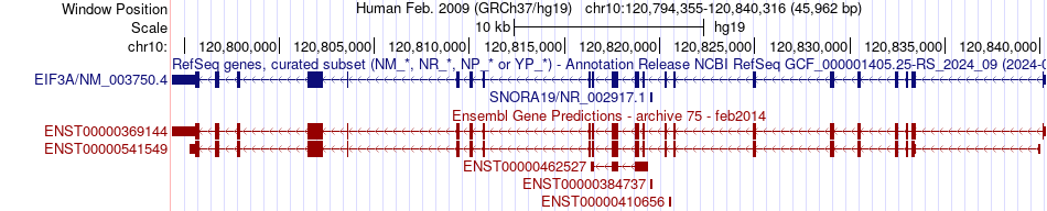 gene isoform structure of EIF3A