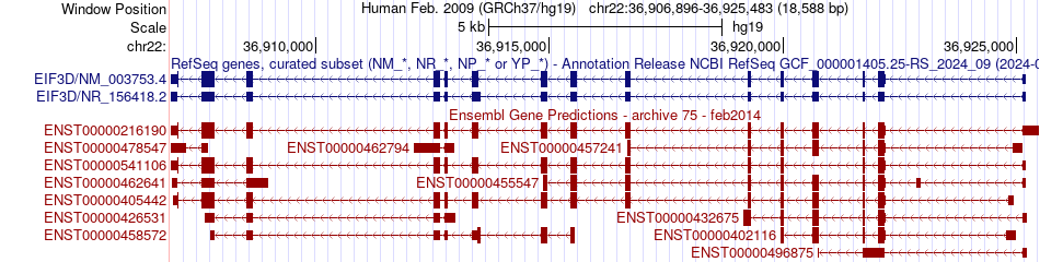 gene isoform structure of EIF3D