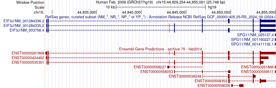 gene isoform structure of EIF3J