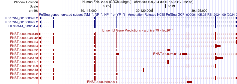 gene isoform structure of EIF3K