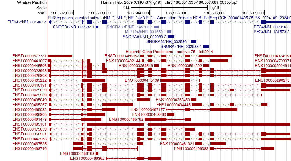 gene isoform structure of EIF4A2