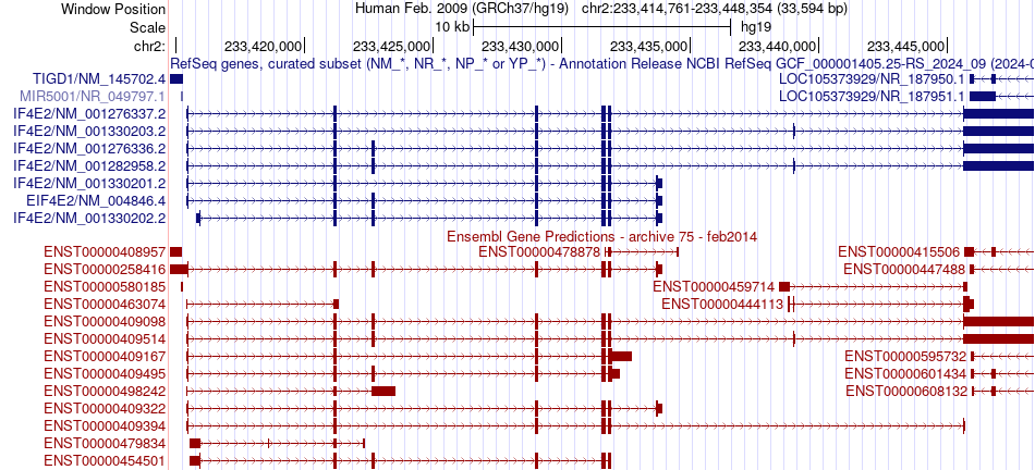 gene isoform structure of EIF4E2