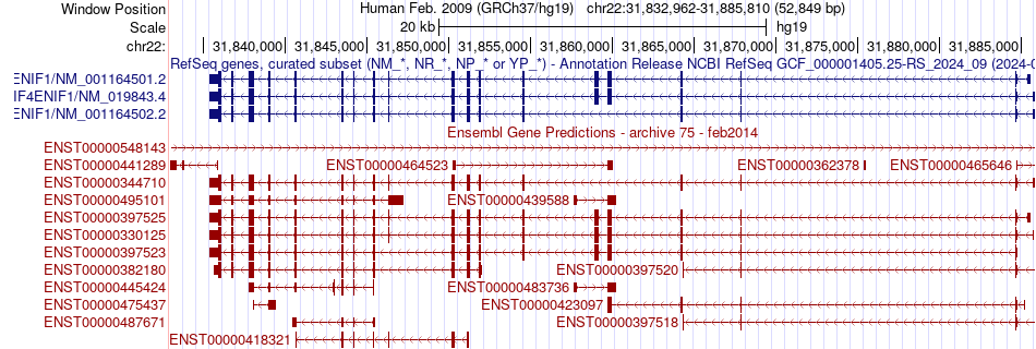 gene isoform structure of EIF4ENIF1