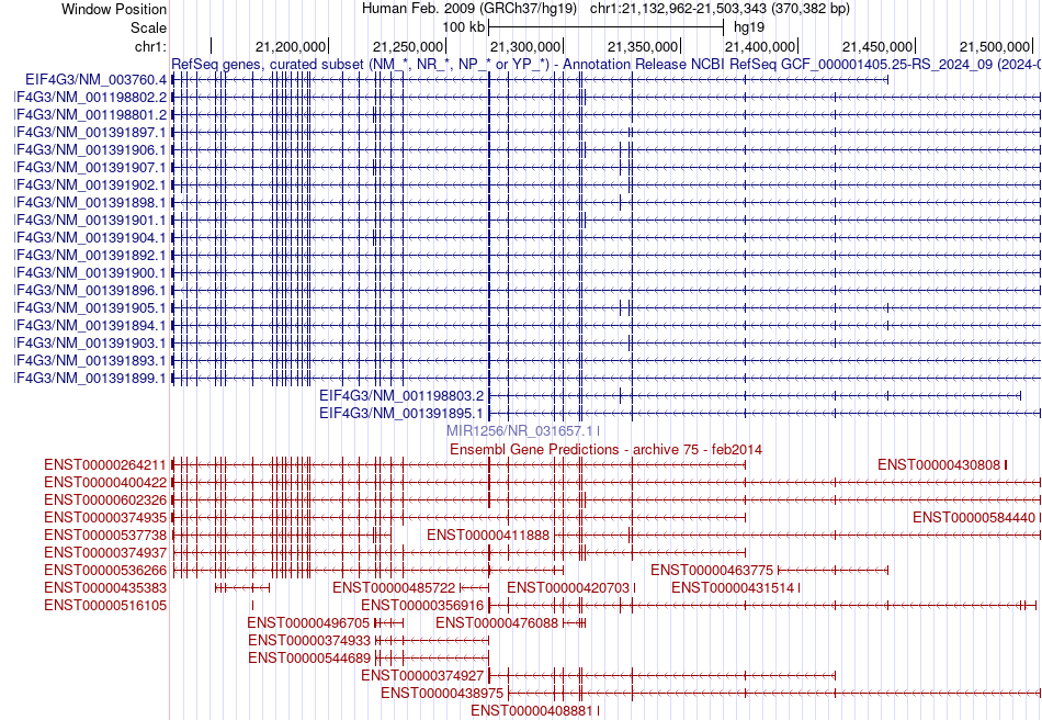 gene isoform structure of EIF4G3