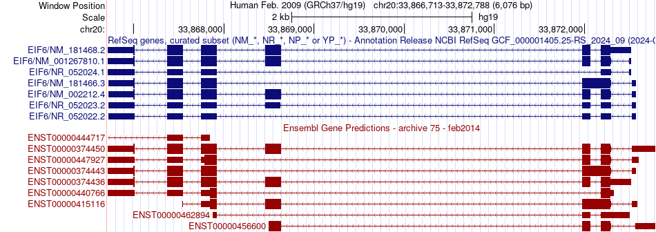 gene isoform structure of EIF6