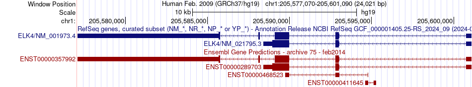 gene isoform structure of ELK4