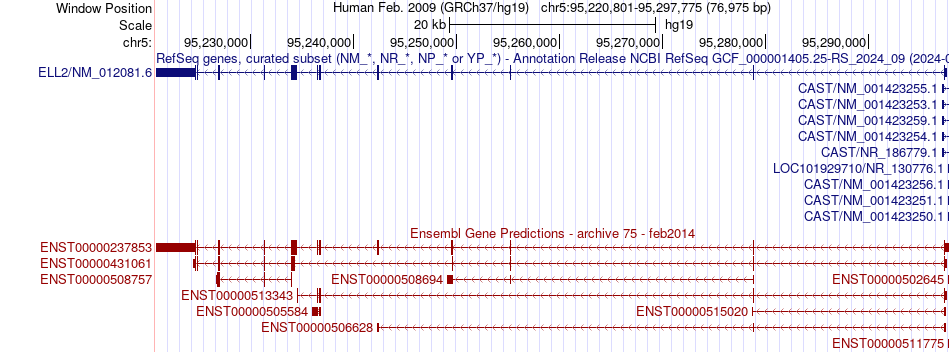 gene isoform structure of ELL2