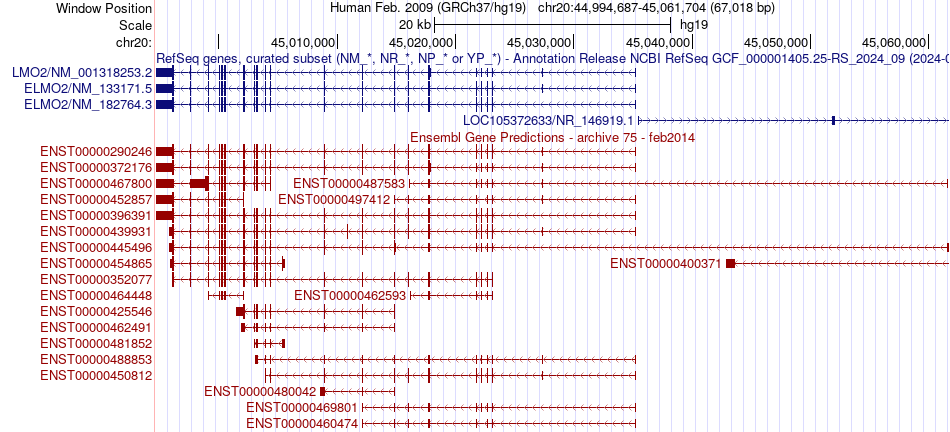 gene isoform structure of ELMO2