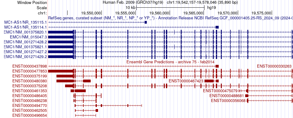 gene isoform structure of EMC1