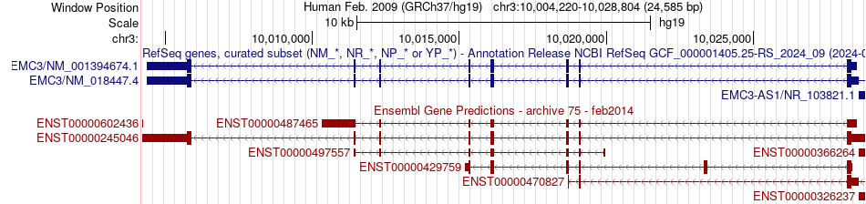 gene isoform structure of EMC3