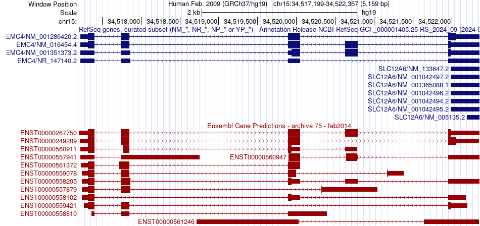 gene isoform structure of EMC4
